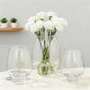Round Glass Dinosaur Egg Hydroponic Vase Desktop Ornament for Plants