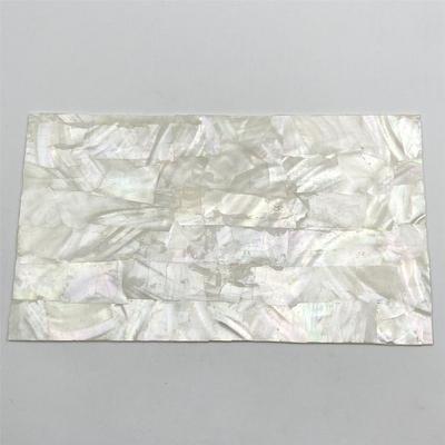 240 X 140 X 2.0 Mm Natural Freshwater Shells + Acrylic Sheets—DIY Craft and Musical Instrument Inlay Materials