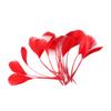 50Pcs22 Colors Optional Diy Handmade Feather Color Torn Large Floating Feather Goose Feather Jewelry Accessories Craft Decoration Materials