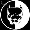 Fantastico adesivo riflettente per cani Pitbull per auto, adesivo per porte e finestre per camion