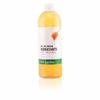 HONEY AND JELLY MOISTURIZING SHOWER GEL 1000 Ml