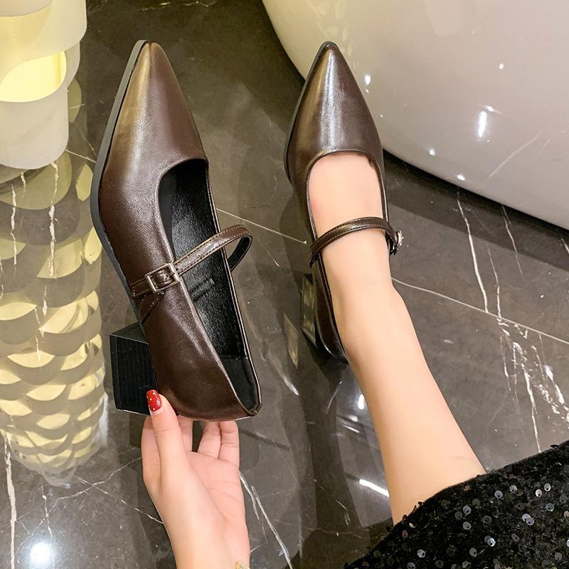 French pointed thick heel with Mary Jane shoes women's 2025 summer new shallow single shoes evening shoes small leather shoes