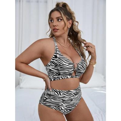 Costum de baie din două piese pentru femeie 2025 Plus Size, costum de baie elegant cu găuri, bust, push-up, imprimeu leopard, sexy, bikini, talie înaltă