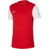 Dri-Fit Color Block Logo Print T-Shirt Kids Tops DH8389-657