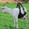 Adjustable Cross-Border Livestock Weighing Sling for Cattle, Sheep, and Dogs - New Style
