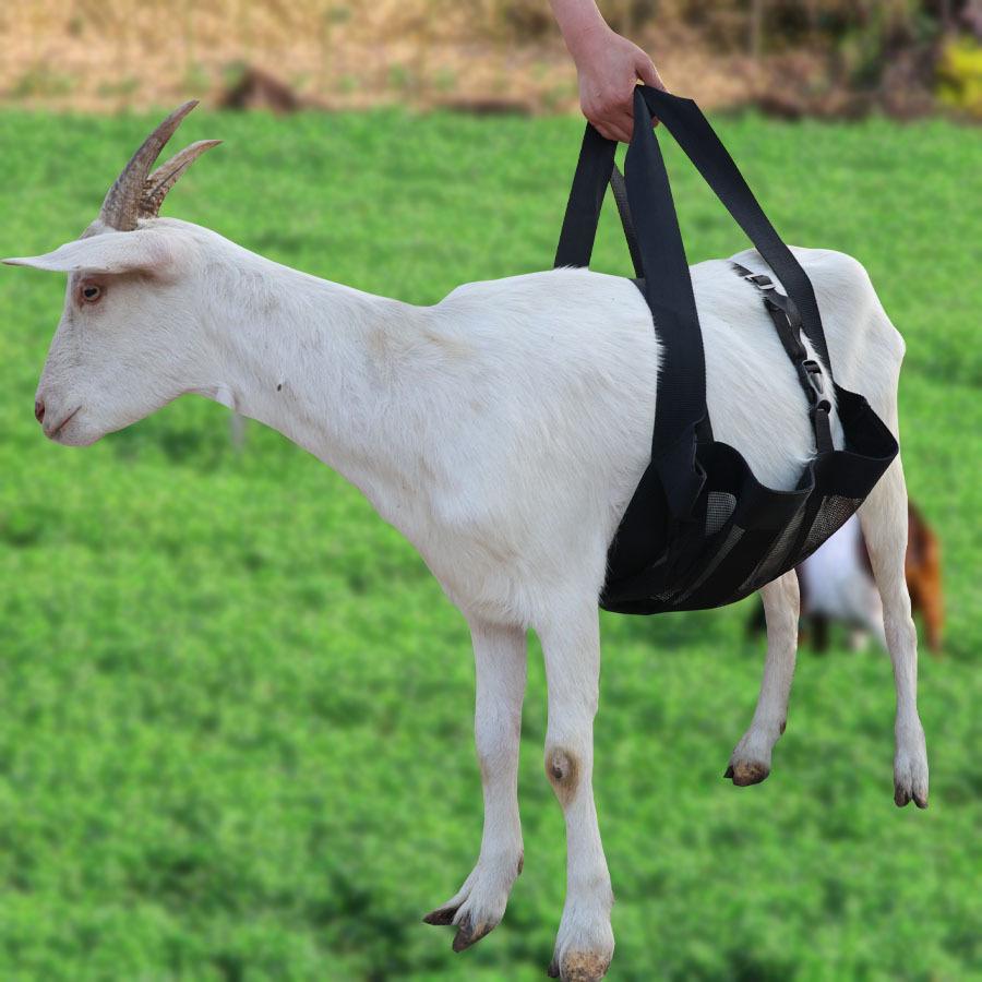 Adjustable Cross-Border Livestock Weighing Sling for Cattle, Sheep, and Dogs - New Style