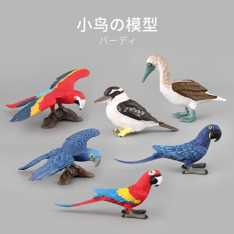 Realistic Pvc Parrot Figurines Set Of Six Colorful Decorative Animal Models