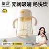 Kids PPSU Sippy Straw Water Bottle 330ml