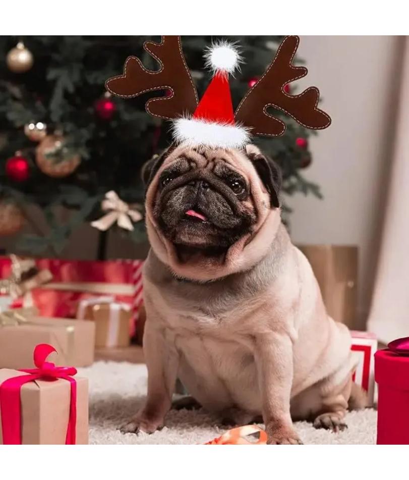 Christmas Decoration Pet Headwear Party Dress Up Antlers Hair Hoops Pet Supplies Christmas Hat Headbands Dog Elk Hair Hoops