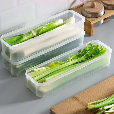 Cilantro Scallion Storage Box Kitchen Fridge Freshness Herb Organizer With Lid Noodles Eggs Vegetable Preservation Container