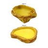 Reptile Water Bowl Resin Terrarium Habitat Decoration Terrarium Water Dish for Snake Tortoise Bearded Dragon Turtle Chameleon