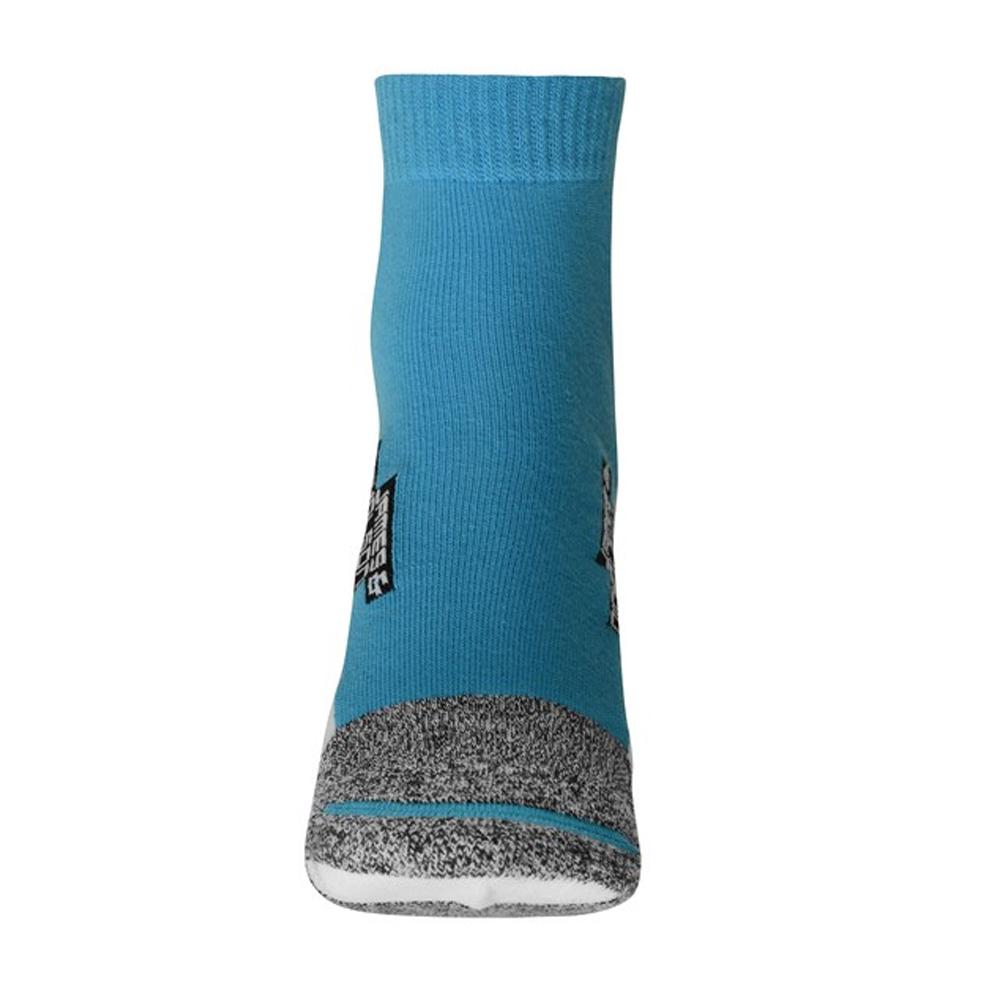 James and Nicholson Unisex Adult Logo Sport Trainer Socks