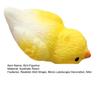 Miniatur Papageienfigur Mini Vogel Harzstatue Realistisches Tierornament Puppenhaus Feengarten Mikrolandschaft Dekoration