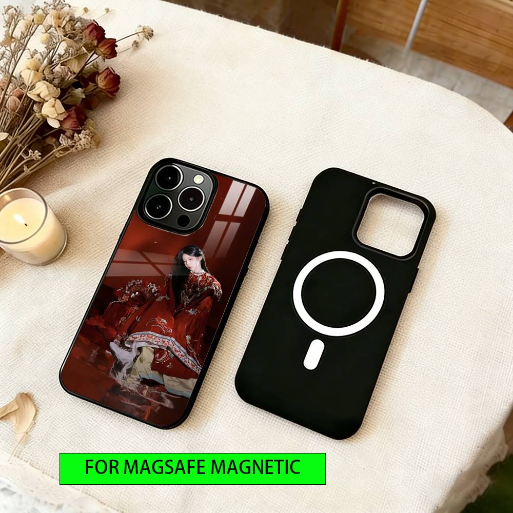 Chinese actors Phone Case For iPhone17,16,15,14,13,12,11 Plus,Pro Magnetic with Magsafe Wireless Charging