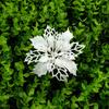 New 20PCS Christmas Glitter Flower Tree Hanging Xmas Party Decoration White