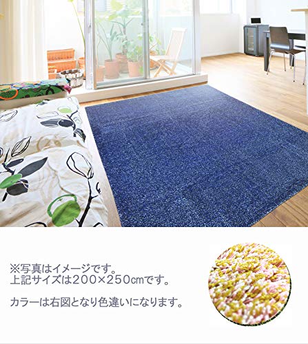 IKEHIKO Rug, 1.5 Tatami Mats, Washable, Tufted "Novel" Style, Orange, Approx. 130 X 185 Cm, Non-Slip Backing (Compatible with Heated Carpets)