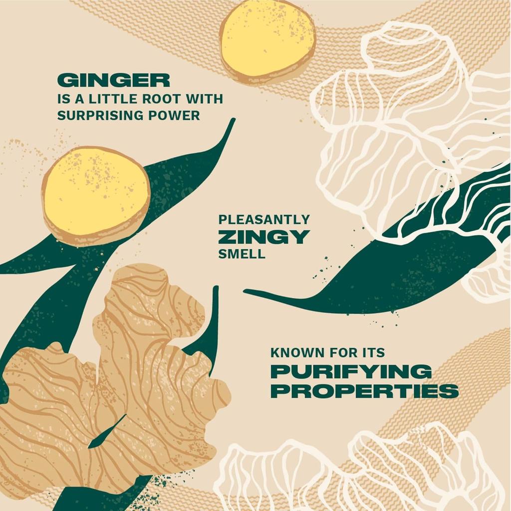 The Body Shop Vegane Ingwer Spülung 250 ml für trockene Kopfhaut und schwaches Haar mit Seidenprotein