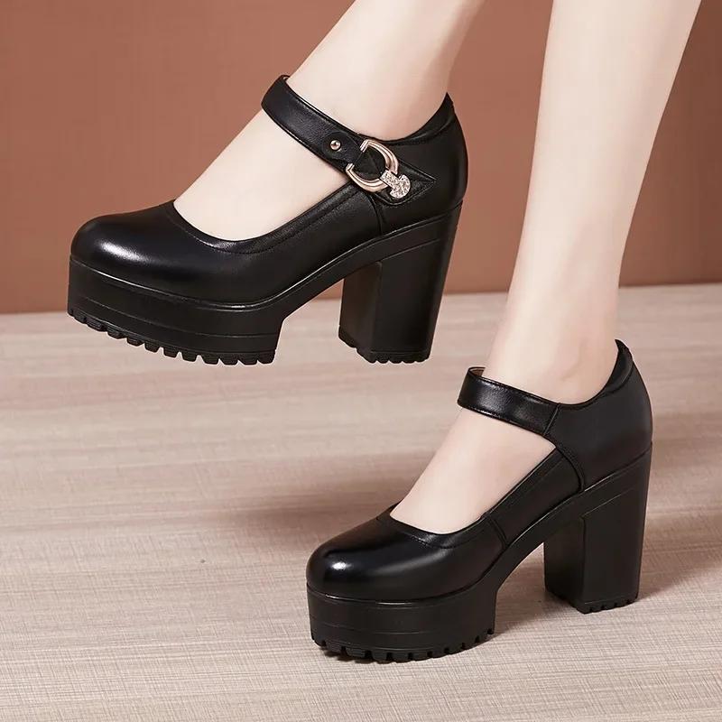 Small Big Size 32-43 Block Heel Platform Shoes 2025 Fall Spring Med Heels Pumps Ladies Wedding Work Shoes for Office