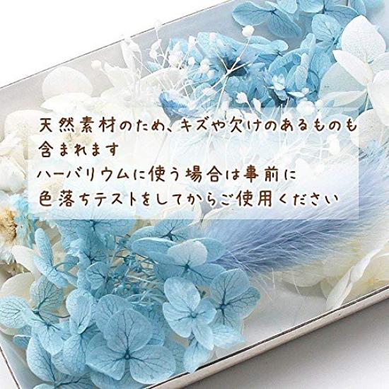 Something Blue Flower Material Set Handicraft Craft Herbarium Flower Material Aroma Wax Sachet Preserved Flowers Hydrangea Breath Immortelle Baby's