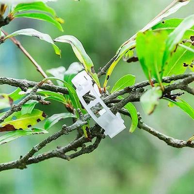 100Pcs Secured Plastic Plant Clip Upgrade Plant Support Clips Garden Clips For Climbing Plants Support Clips Plant Fixing Clips