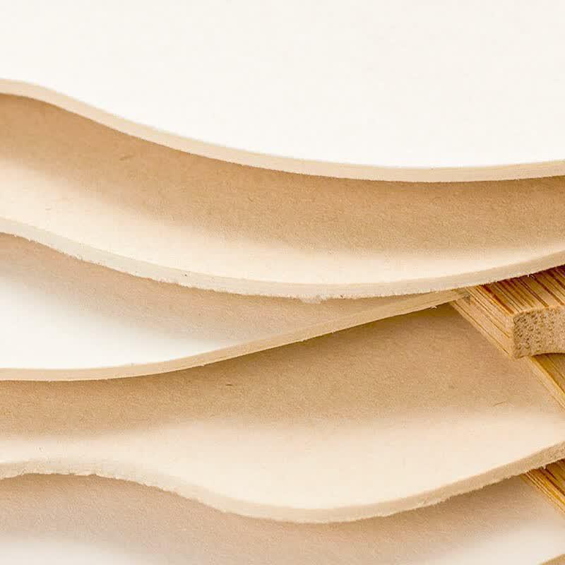 DIY Blank Silk Round Fans