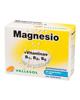 Vallesol Effervescent Magnesium B 24comp