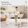 Loctek ES2 Dual Motor Electric Standing Desk Frame