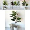 Plush Hevea Brasiliensis Indoor Plant For Living Room Decor And Event Styling