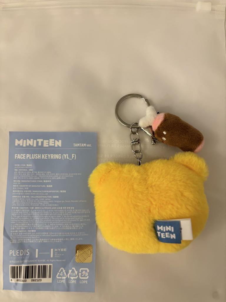 [USED] Hoshi Seventeen MINITEEN Pop-up Face Key Ring