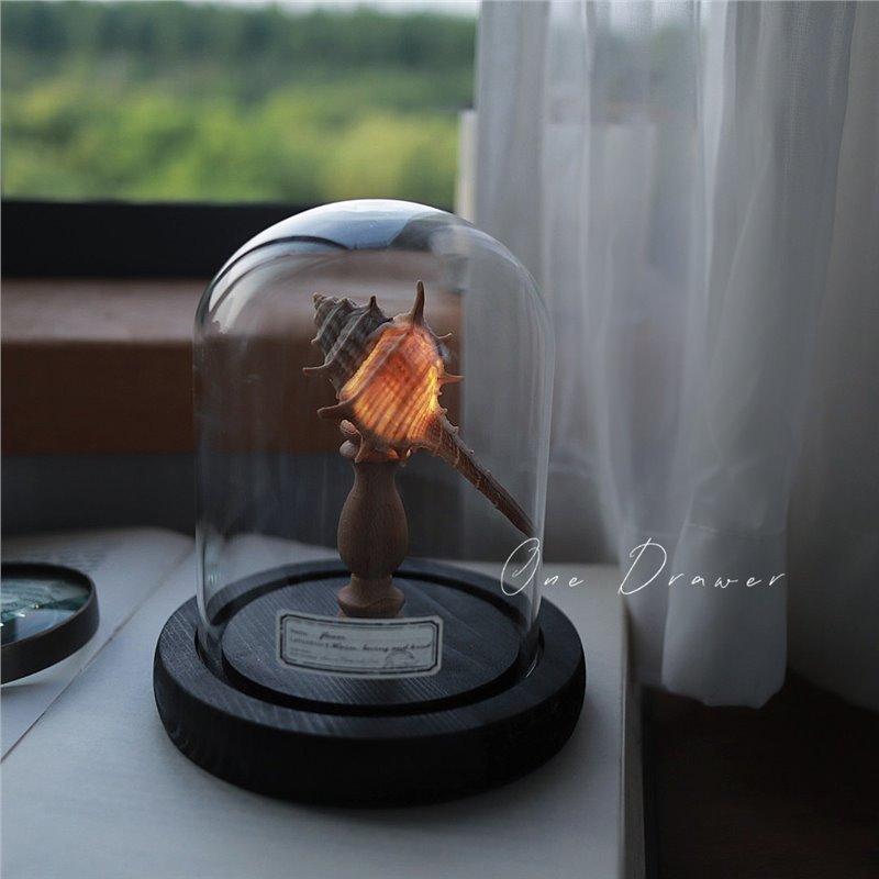 

Сделай сам Ночники в виде морских существ Работающие от батареек Портативная грибная лампа Ракушка Раковина Орнамент Для украшения дома Спальни DIY