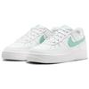Nike Air Force 1 GS White Emerald Rise Kids Sneakers Summit-White DV7762-104