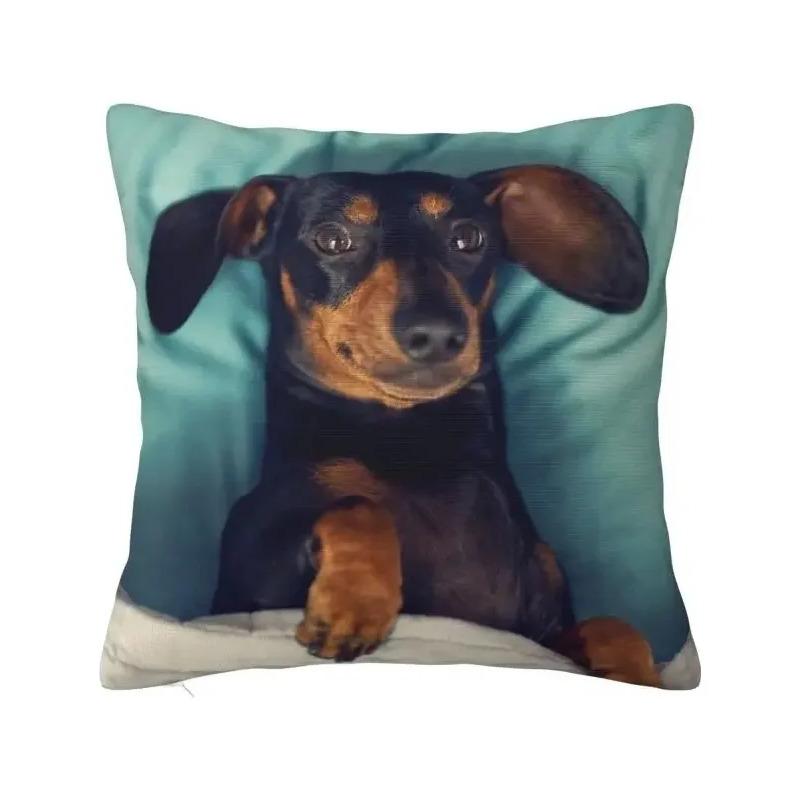Capa De Almofada Dachshund Decorative Home Cute Badger Saus S разноцветный