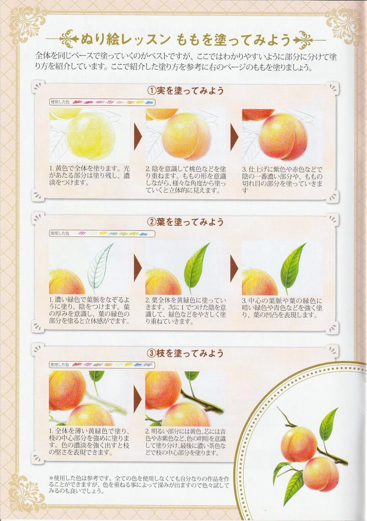 Adult Coloring and 1 3583 Book Flowers, Fruits, Flowers, Book,