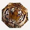 "Wild Tiger Print Round Coaster Set of 4"Umbrella, Portable 3-Fold Compact Umbrella for Men & Women ES19