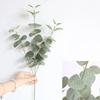 Home Decoration Supplies Simulation Green Plant Money Eucalyptus Leaves Flower Arrangement Home Decorations Wedding Leaves
