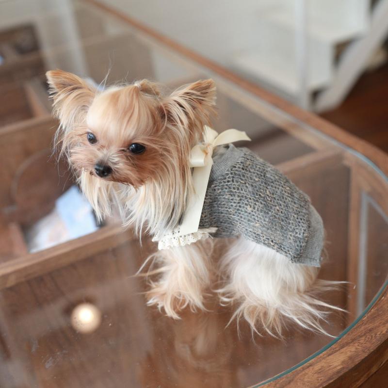 Luxury Dog Clothes Autumn Winter Small Dog Clothing Dogs Puppy Sweater Chihuahua Dogs Cat Apparel Accessories Product Supplies