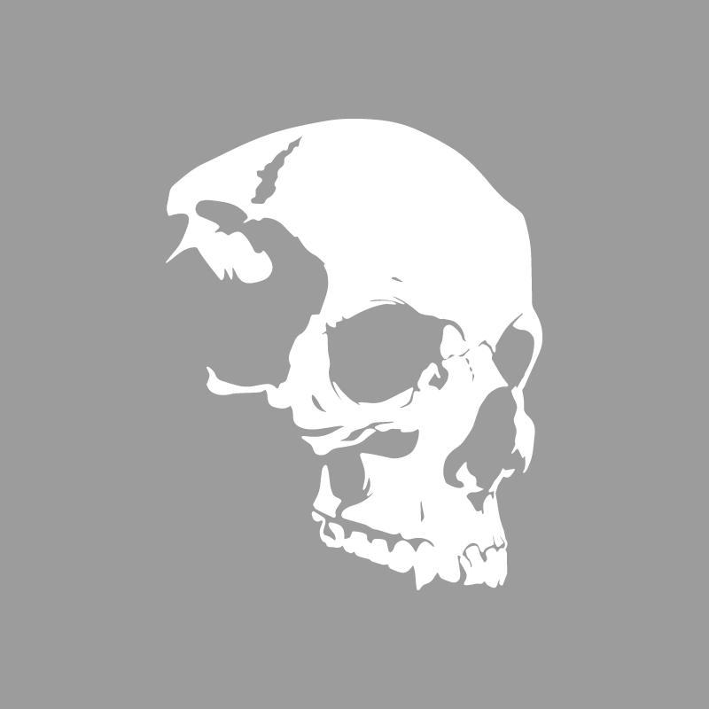 Craniu schelet cu textură avansată, modele aventură în aer liber, autocolante aventură în aer liber, decorațiuni cu tematică natură, vinil durabil