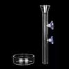 Glass Aquarium Feeder Tube Dish Transparent Fish Tank Shrimp Snail Food Feeder Bowl Aquarium Feeding Accessories Shrimp Feeders