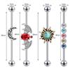 Punk Stainless Steel Titanium Long Rod Women's Cartilage Ear Stud Retro Piercing
