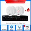 Wireless Indoor Ceiling Speaker with Wall-Mountable Hanging System