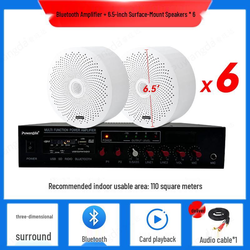 Wireless Indoor Ceiling Speaker with Wall-Mountable Hanging System