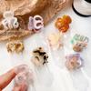 Hollow Out High Ponytail Fixed Artifact Hairpin Small Retro Mini Hair Claw  Hair Accessories