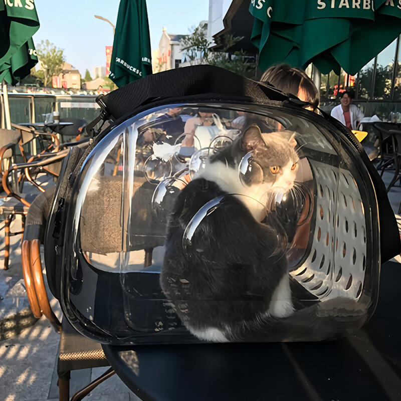 Small transparent dog carrier/carrier