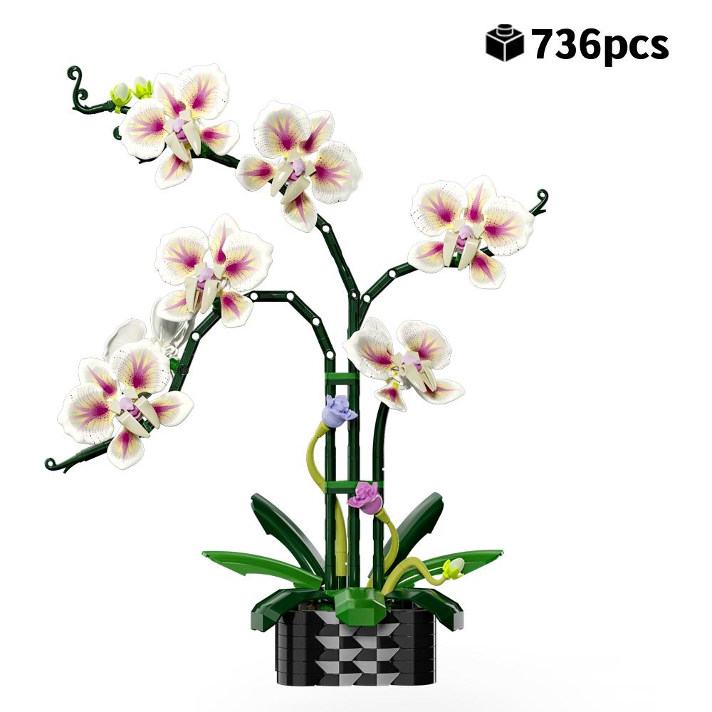 

MOC Creative DIY Brick Playset Orchid Bouquet Playset Phalaenopsis Flowers Plant Everlasting Valentine Gift Present for Girls Kids 736pcs 736pcs