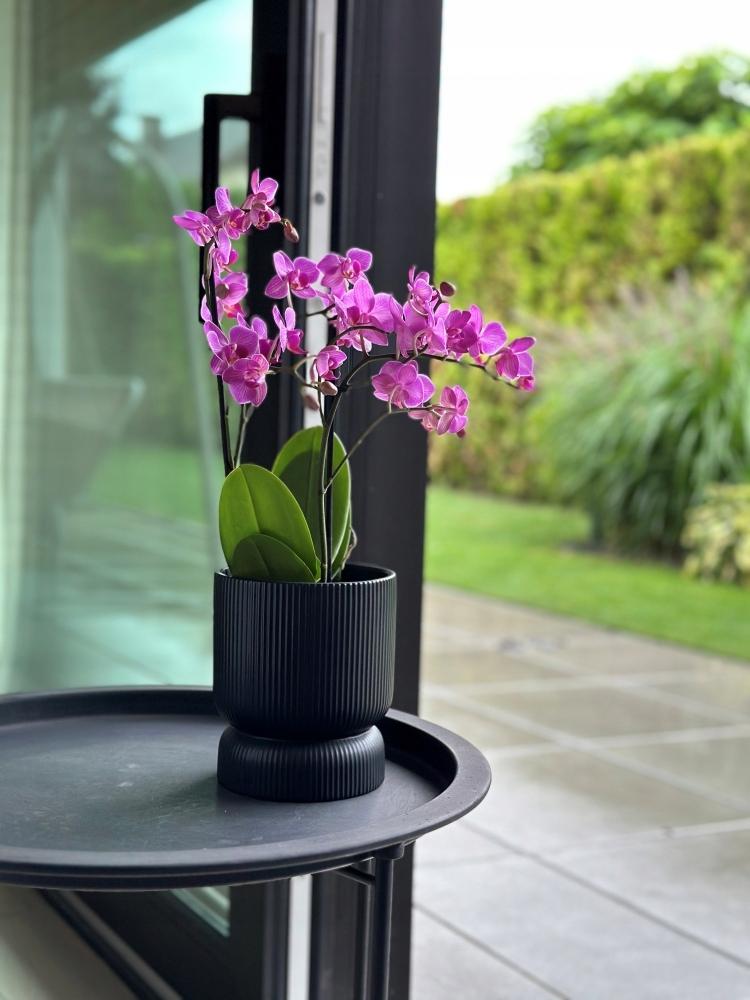 Round Ribbed Ceramic Planter Pot, Matte