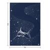 Starry Shark Throw Blanket Custom Moving Decorative Sofas Summer Blankets