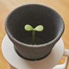 +d Kinome Ceramic Coffee Filter (Standard)