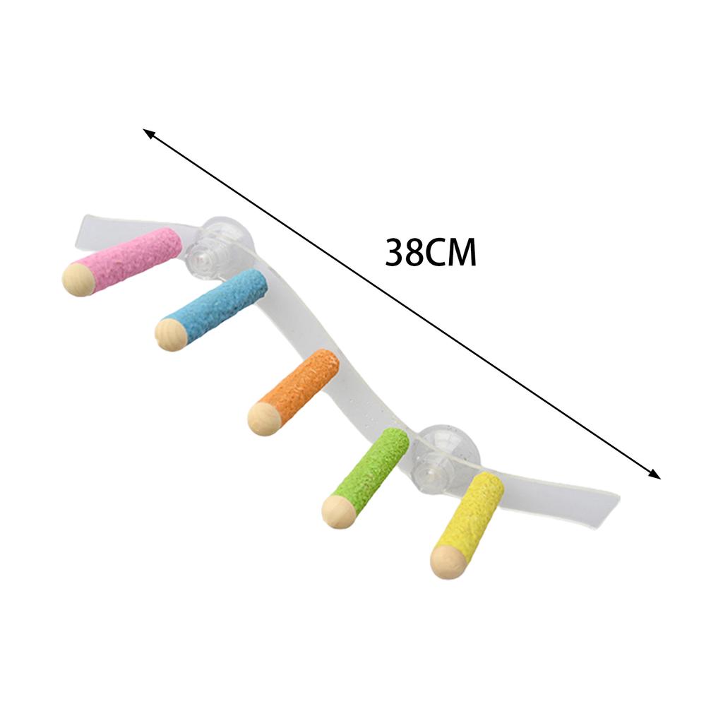 Suction Cup Wood Parrot Stand Hanging Bird Toy Window Shower Perch Toy for Budgie Bluebirds Hummingbird Bird Supplies