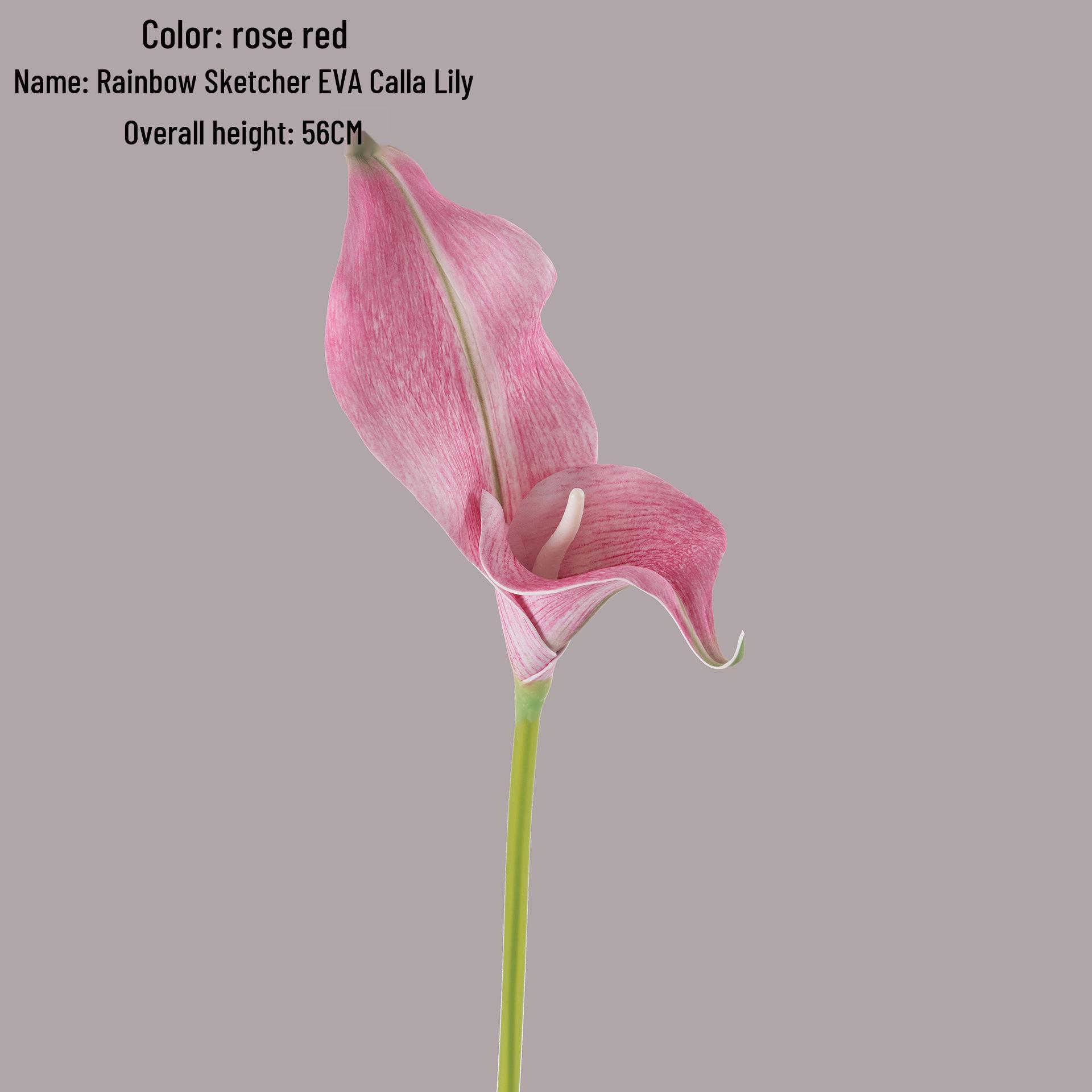 Rainbow Sketcher Artificial Calla Lily - INS Style Home Decoration Flower for Weddings
