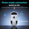 Professional 300IPS 60G Acceleration Gaming Mouse 16000DPI TTC Gold Dustproof Micro Switches 1000Hz 3-Mode Connection
